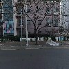 부산뇌병변복지관