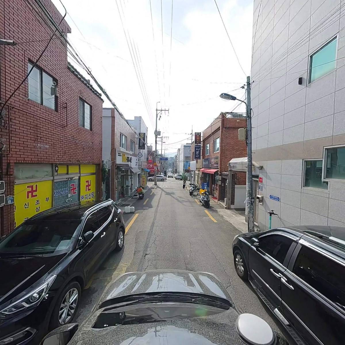 (주)디노코리아_4