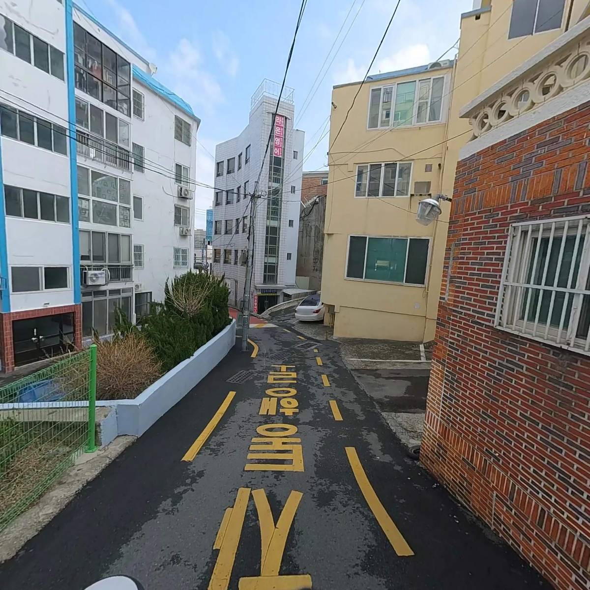 그린종합_2