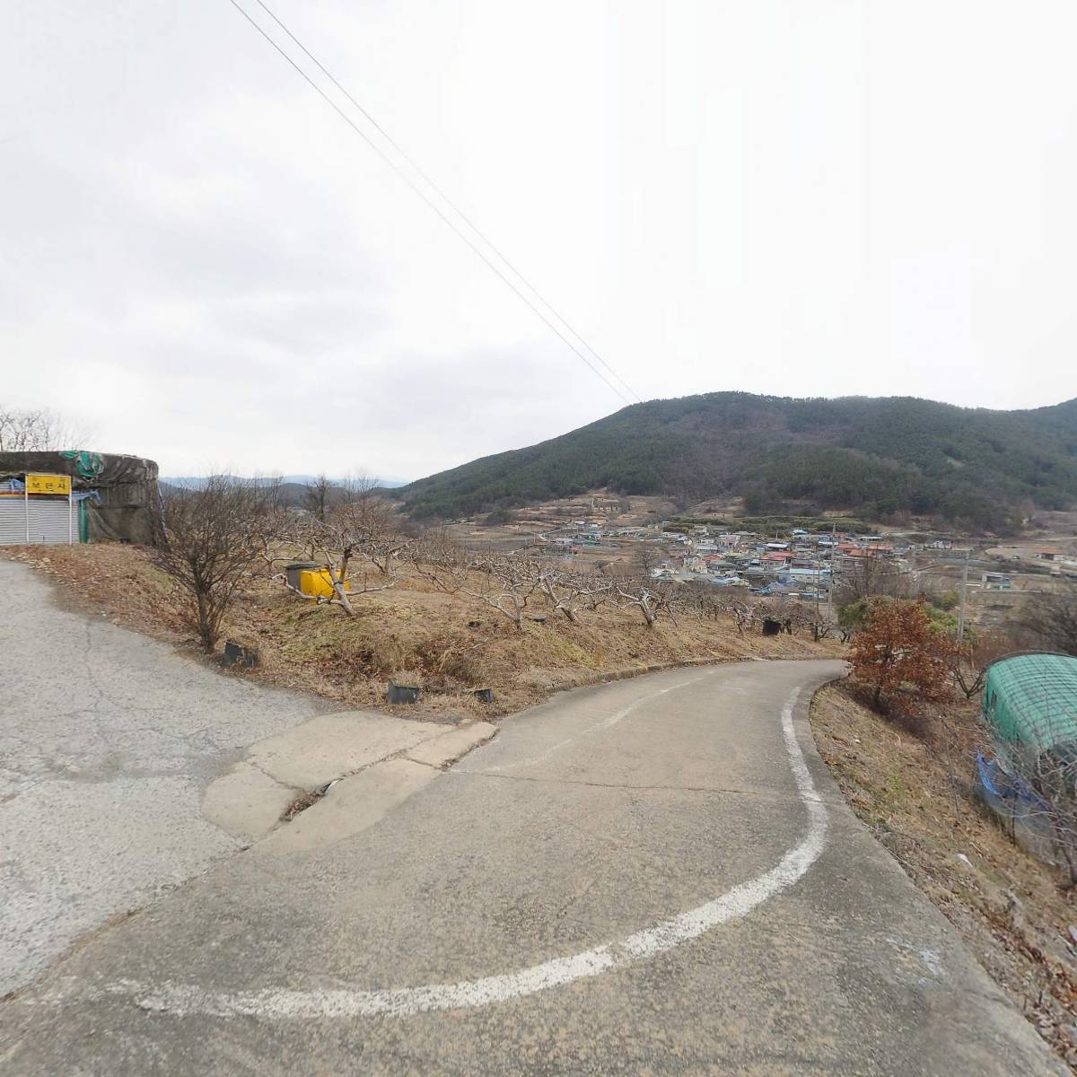 대한불교도생조계종 보은사_2