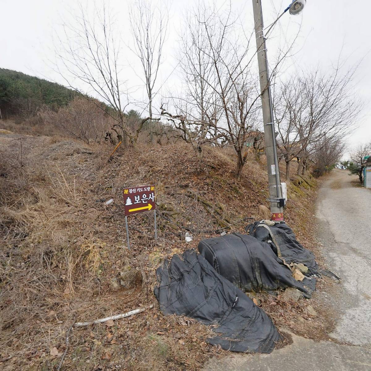 대한불교도생조계종 보은사