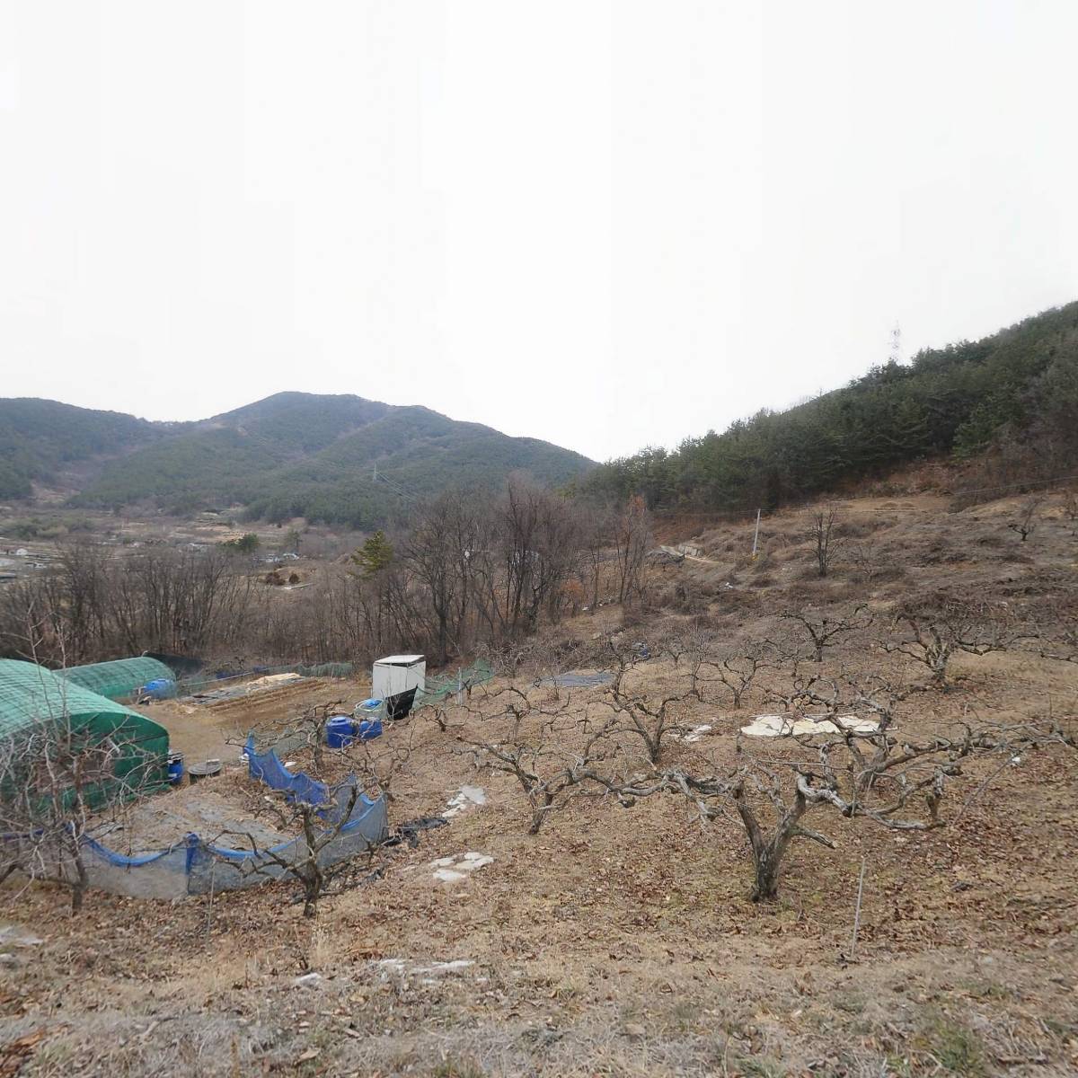 대한불교도생조계종 보은사_3