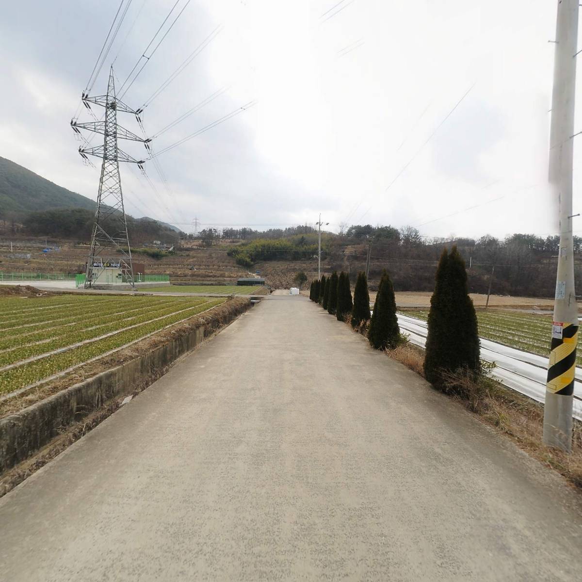 예리일구영농조합법인_2