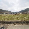 예리일구영농조합법인