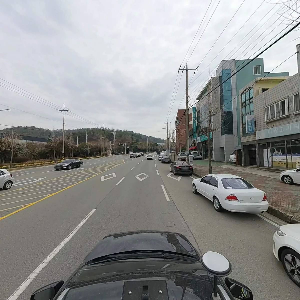 늘사랑 양한방 동물병원_4