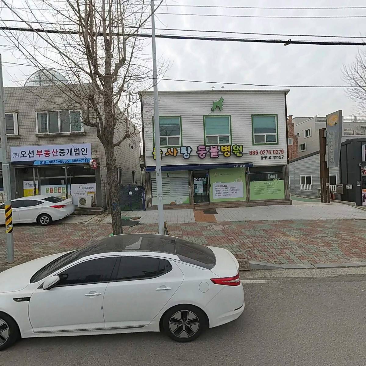 늘사랑 양한방 동물병원
