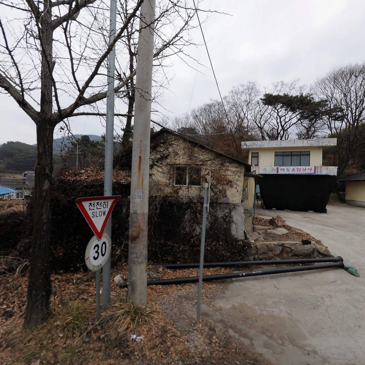 맑은물재첩국