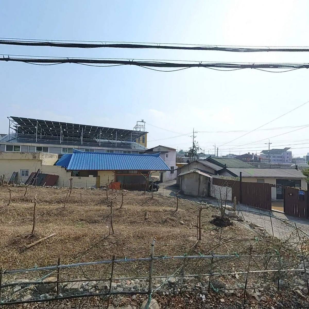 도톰타올