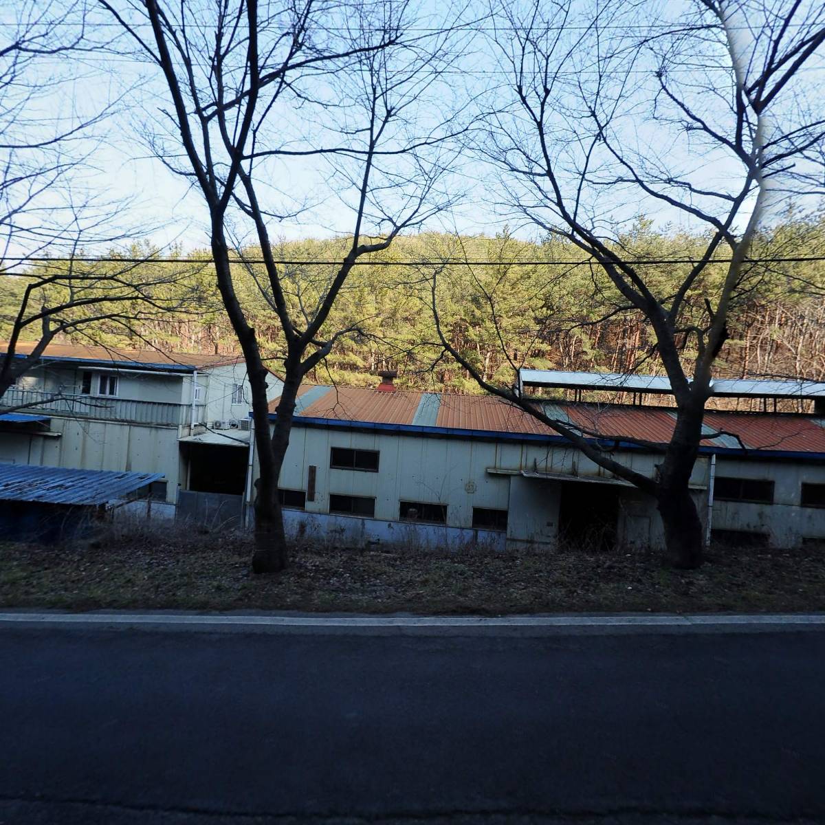 세명스프링_3