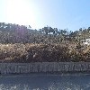 시냇가에심은교회_3