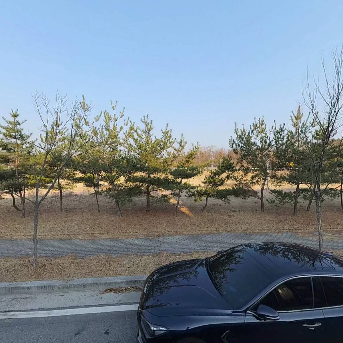 주식회사 오 코스모스