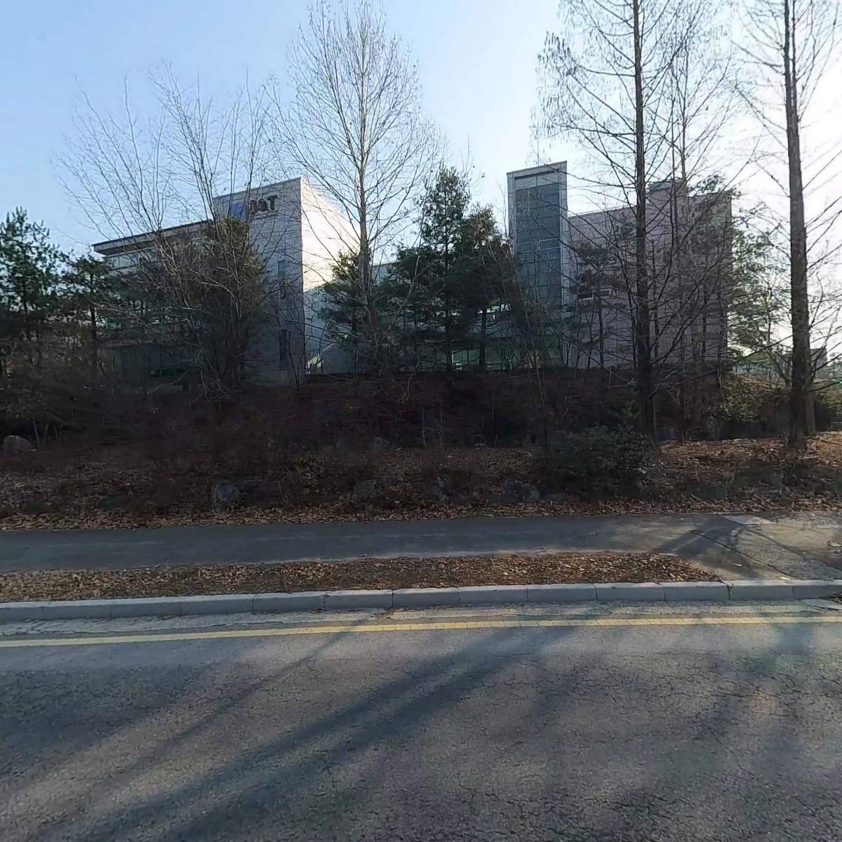 (주)디오디