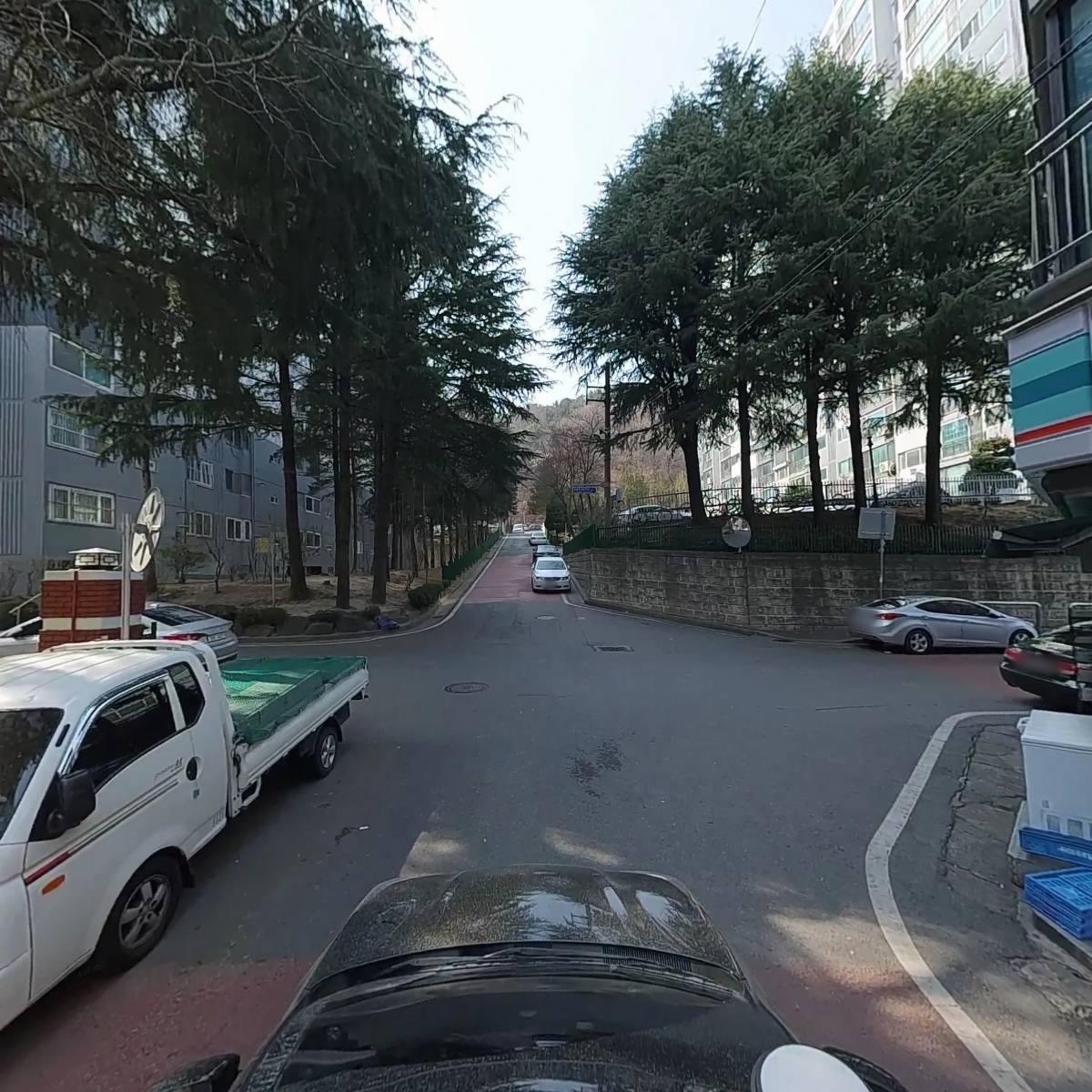 오드리_4