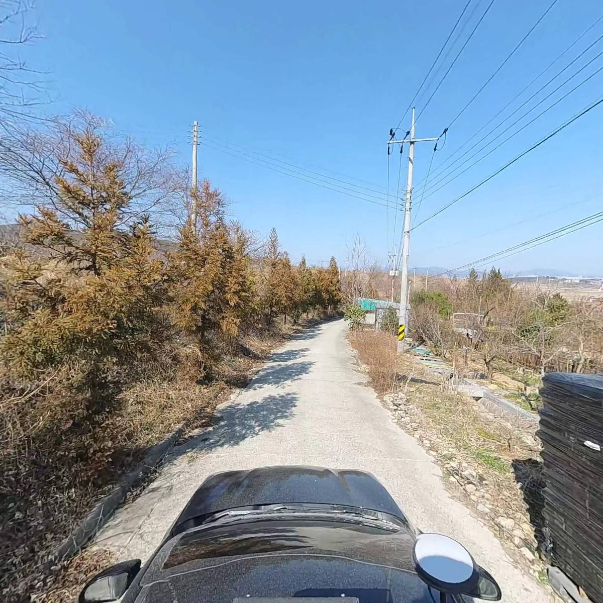 여수황금비파 농장_4