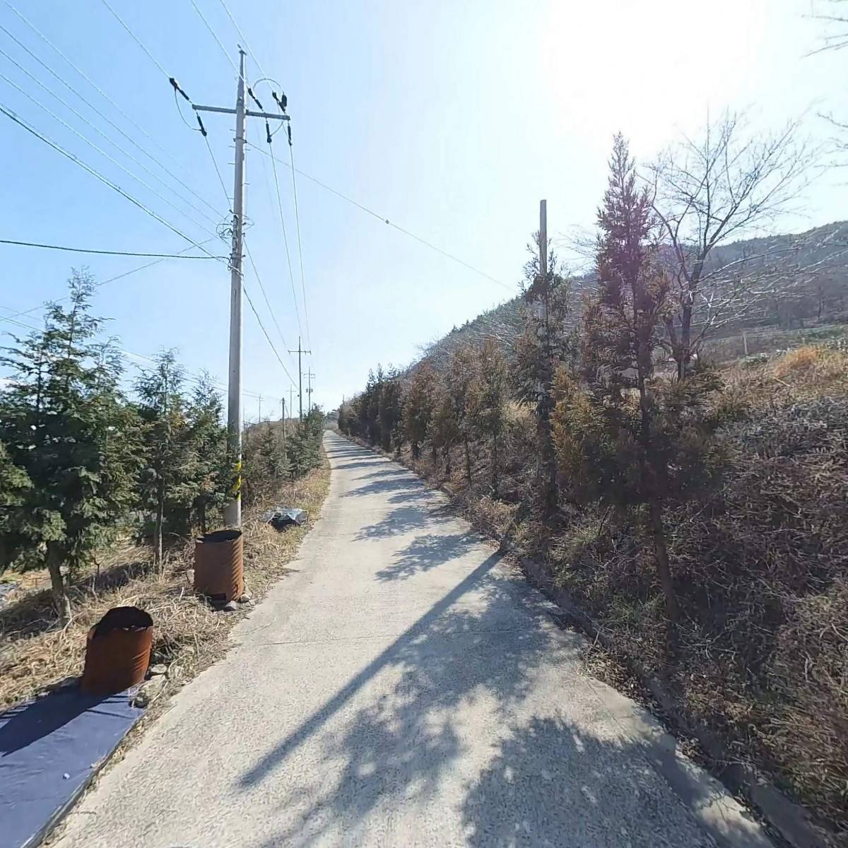 여수황금비파 농장_2