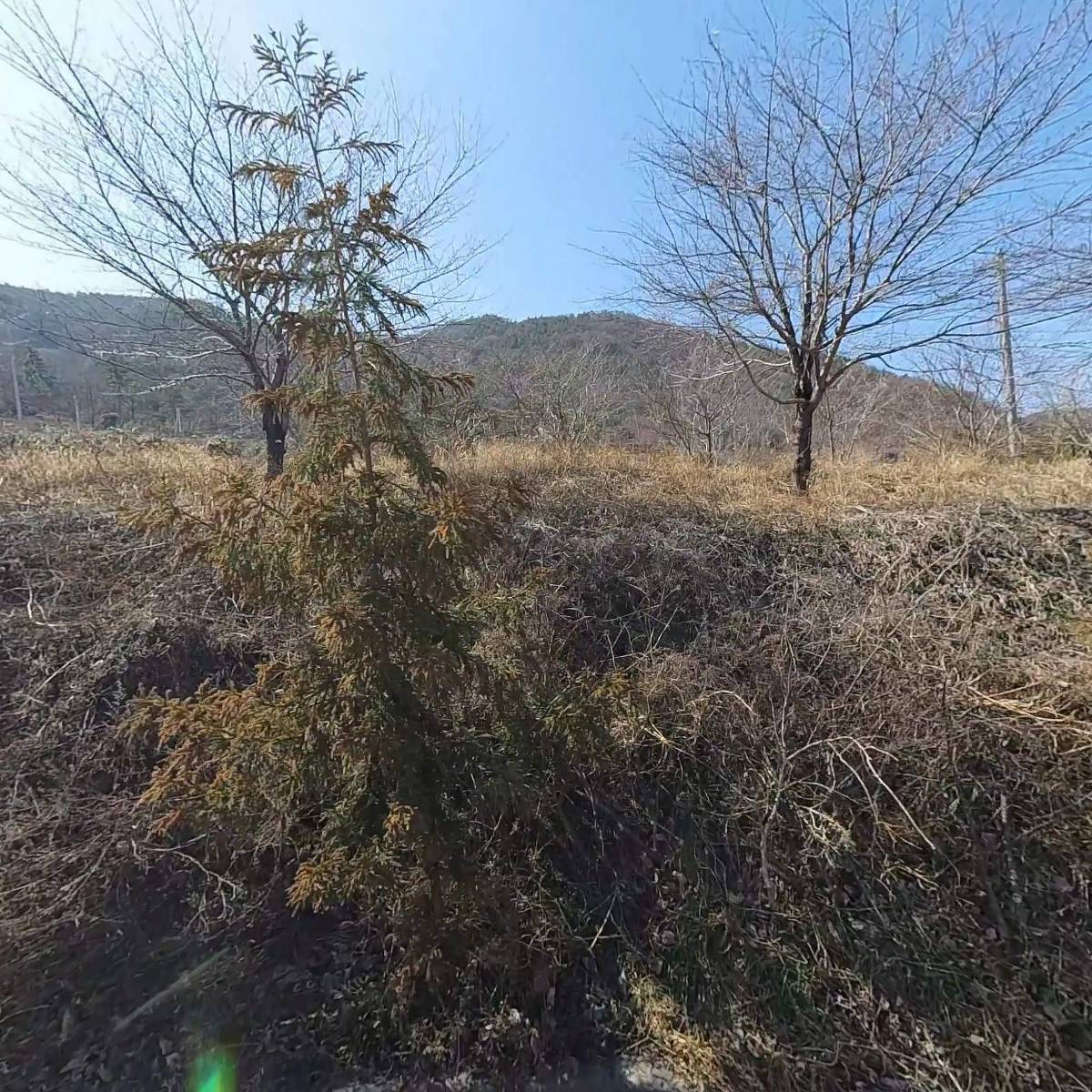 여수황금비파 농장_3