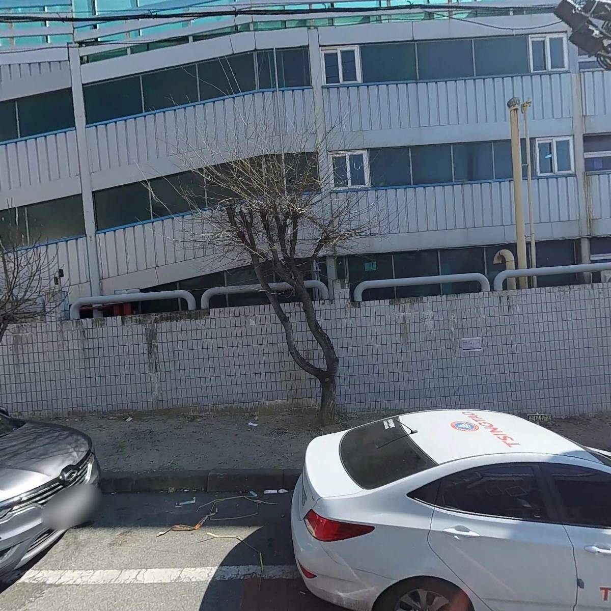 리얼강남