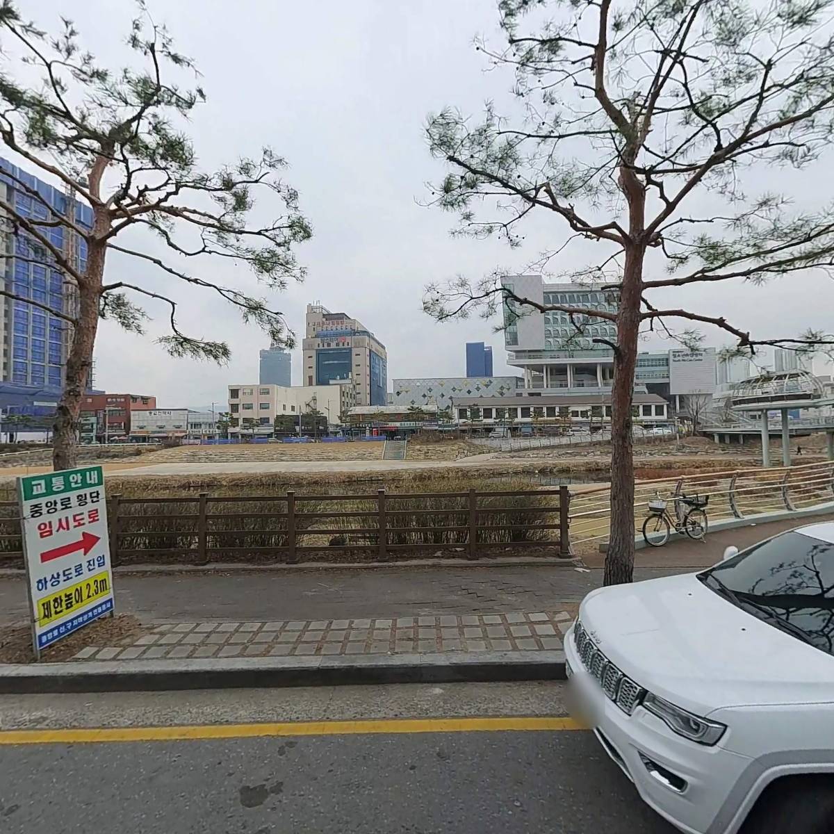 사이에서