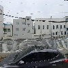 본초명가