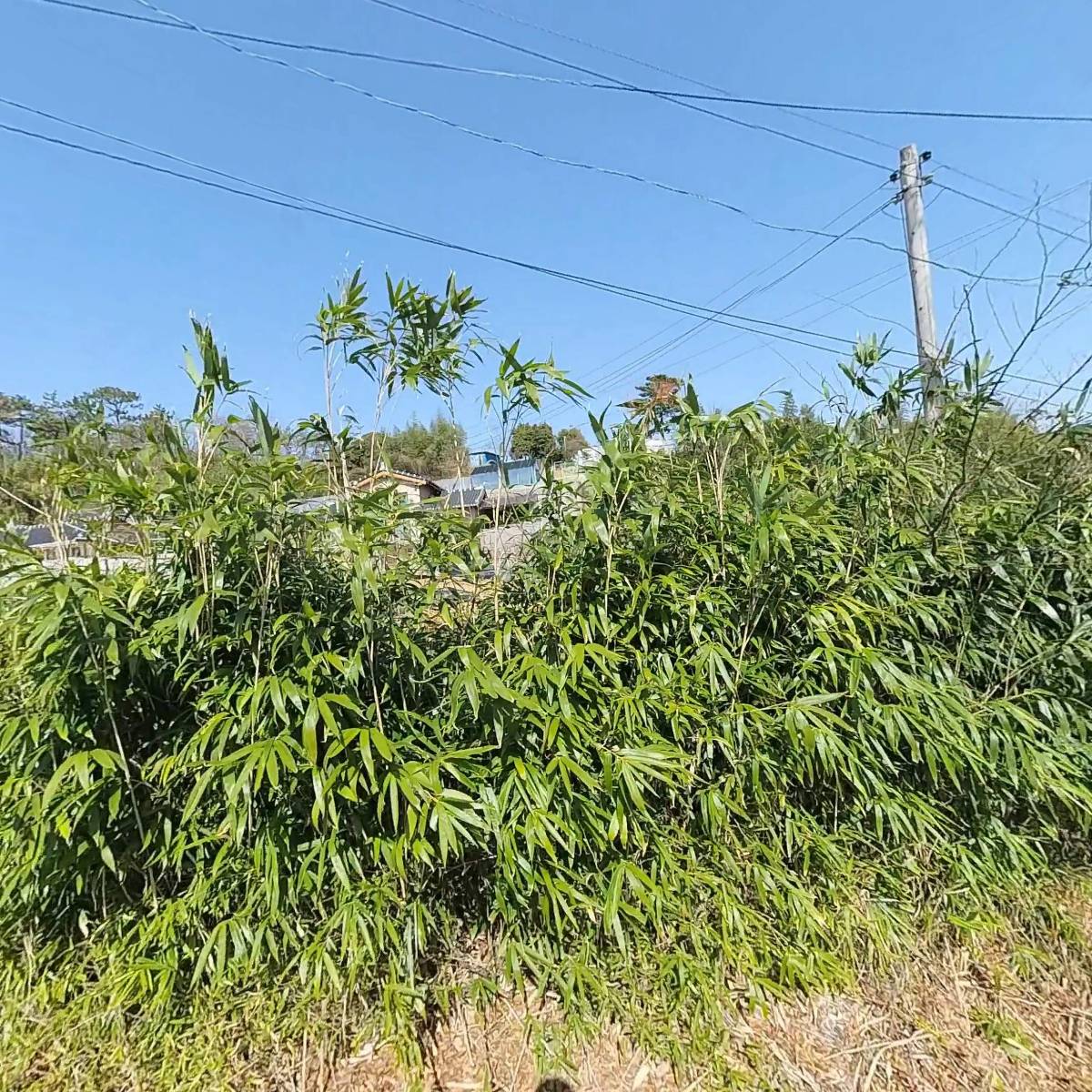우리수산