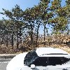 데니스웍스(Dennysworks)_3