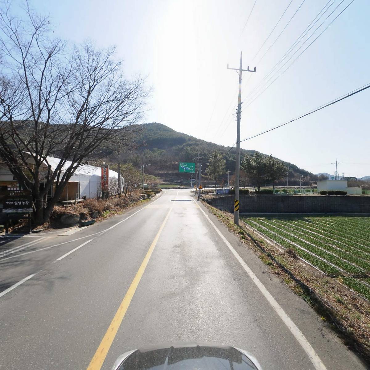 허브힐링농장_4
