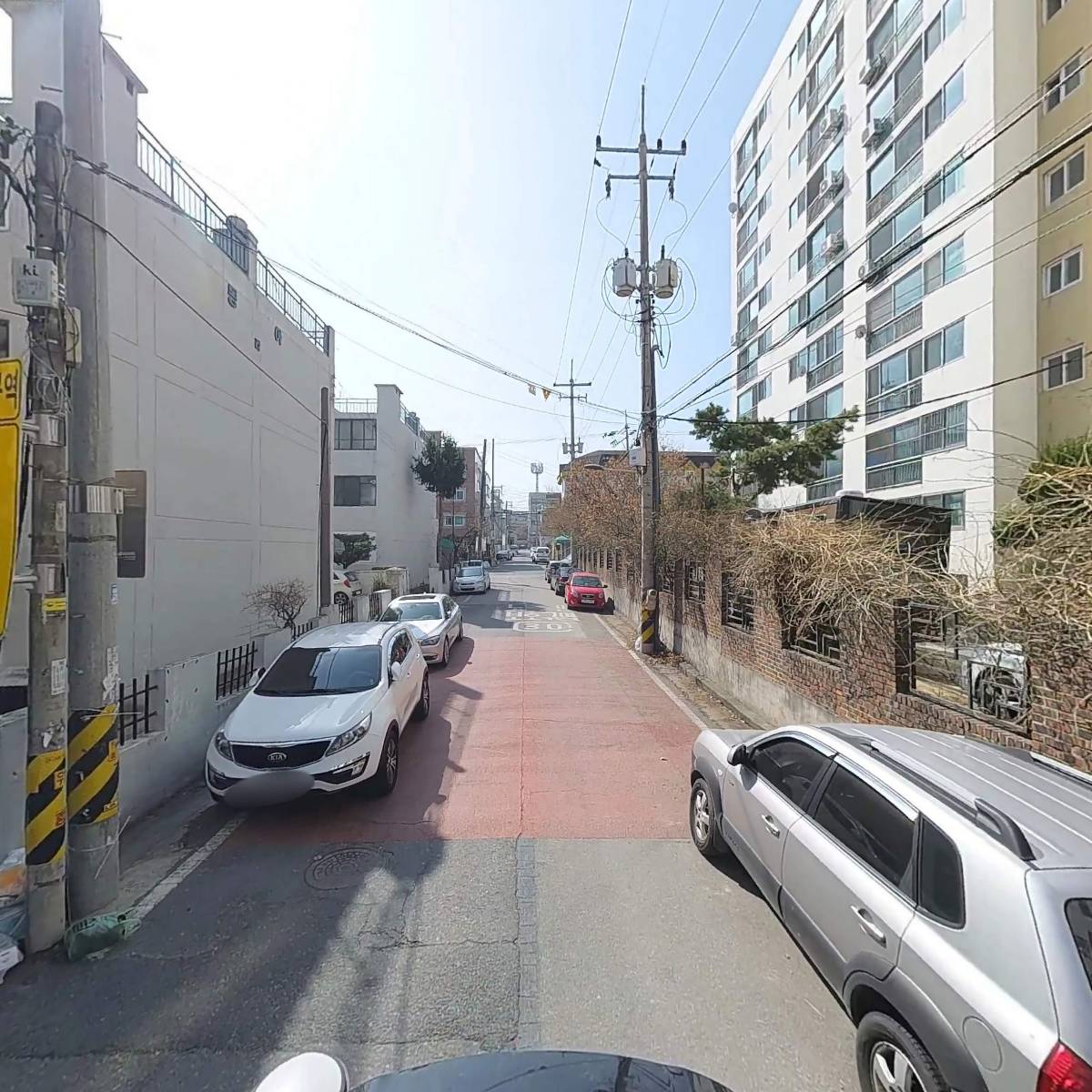 수목화_2