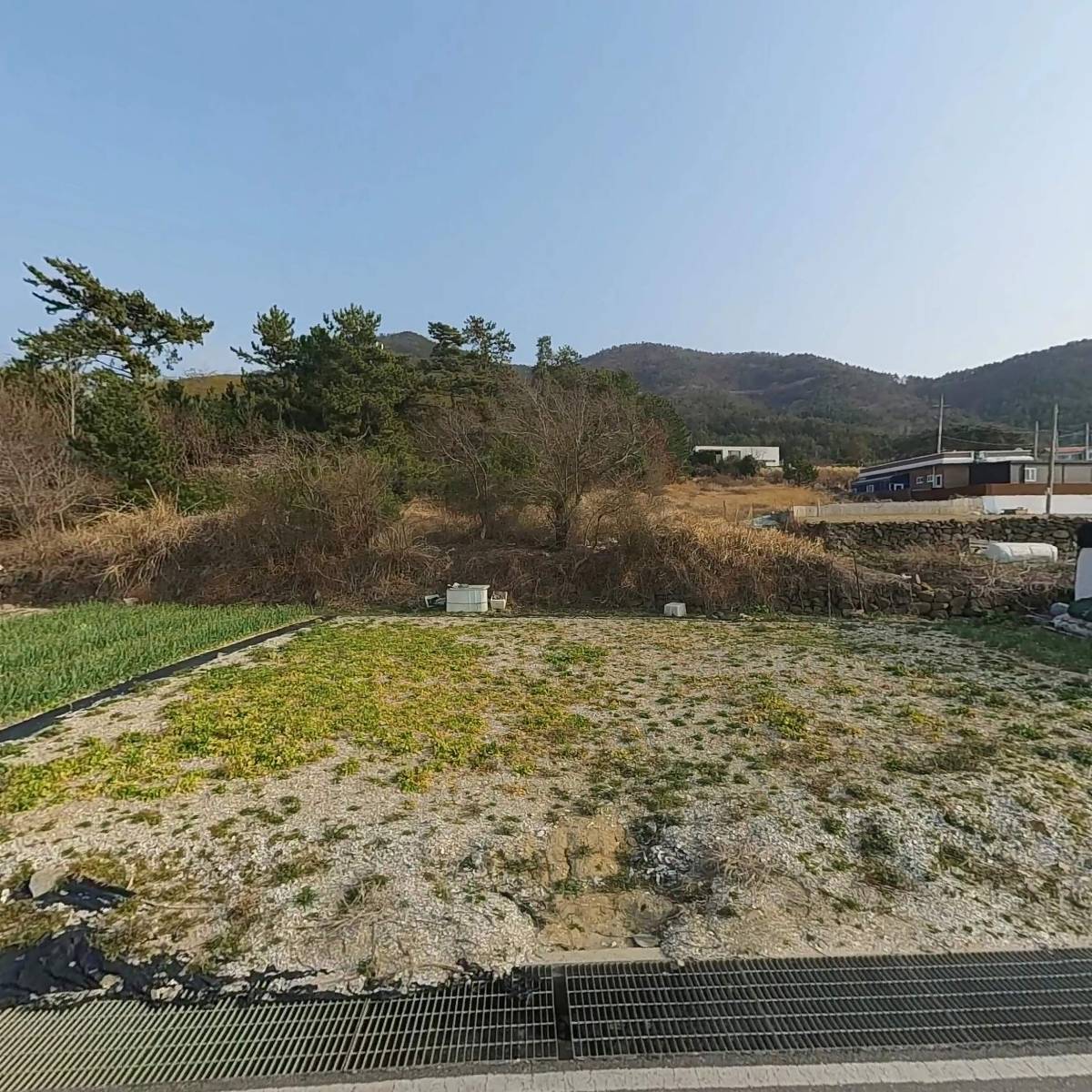 금양수산