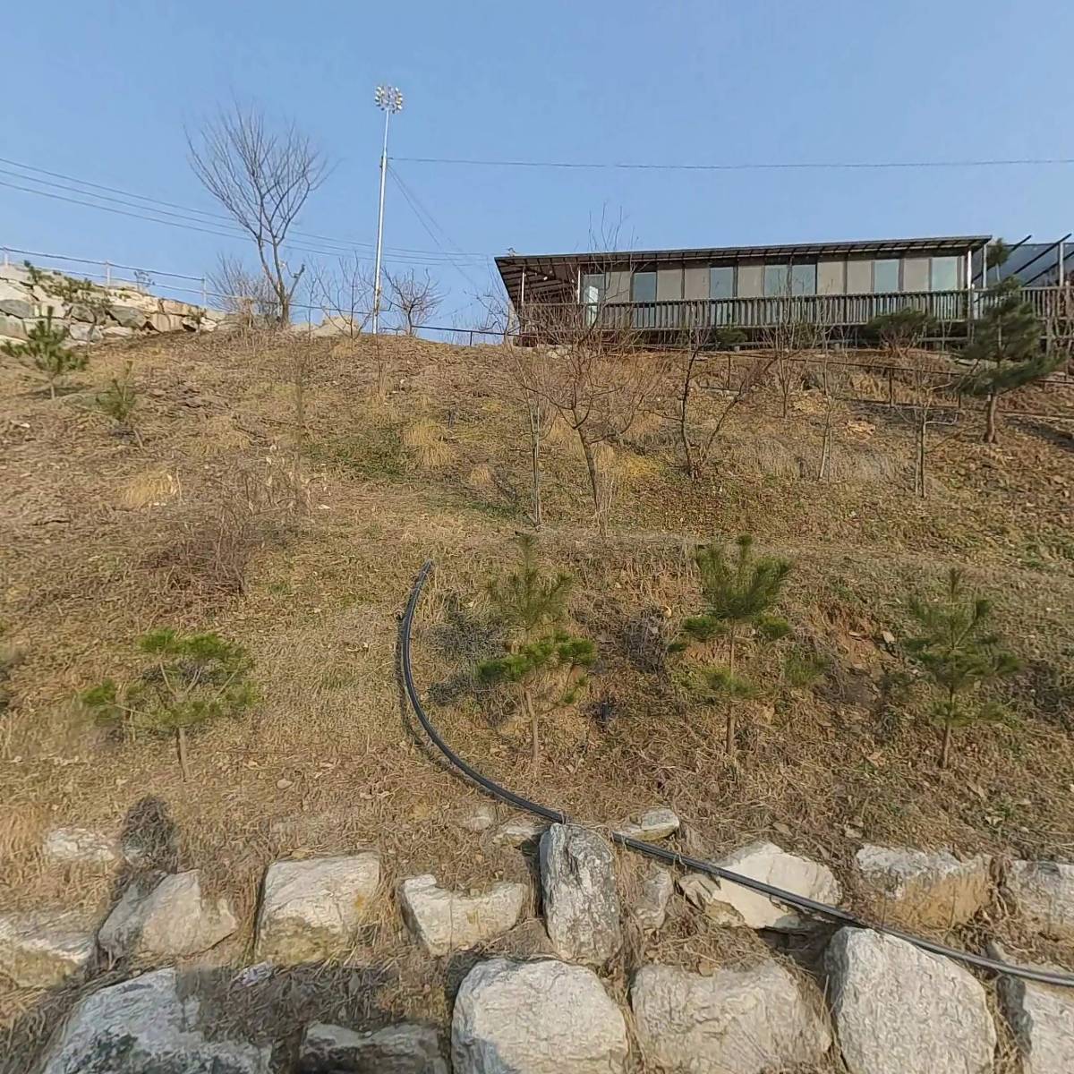 빨간사과