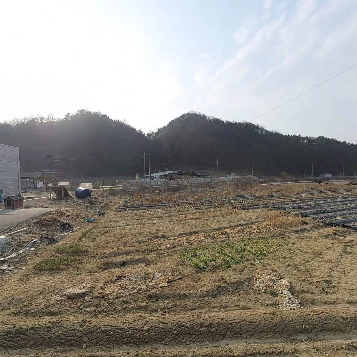 빨간사과_3