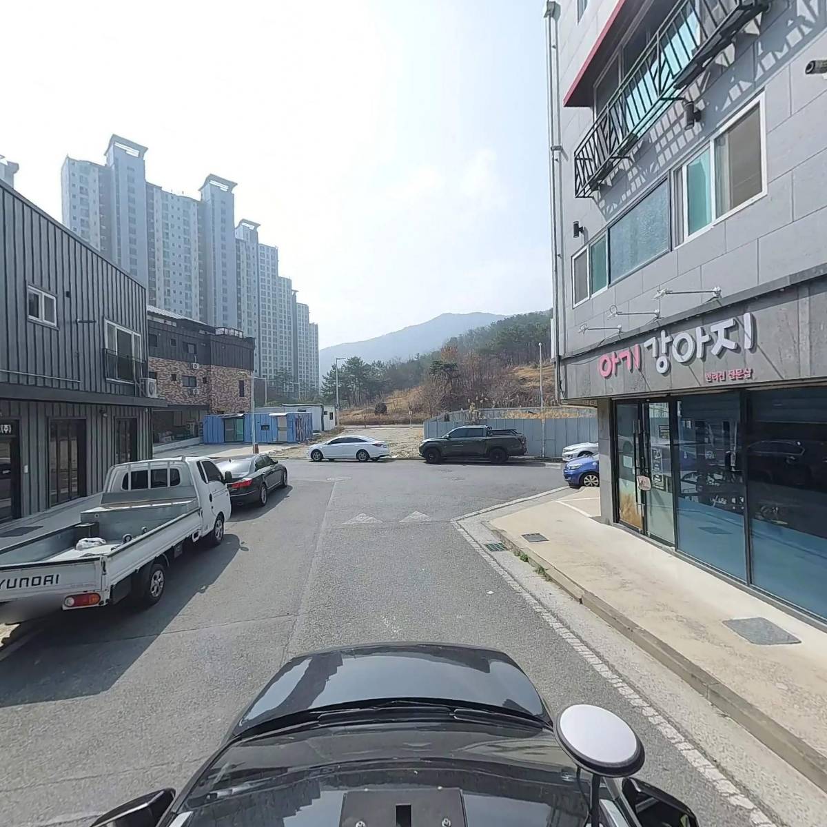 애기강아지（반려견 전문샵）_4