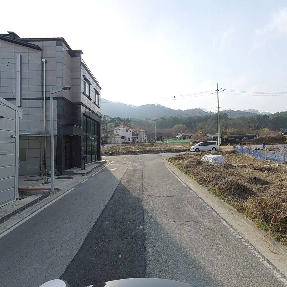 코스모스 드림_2