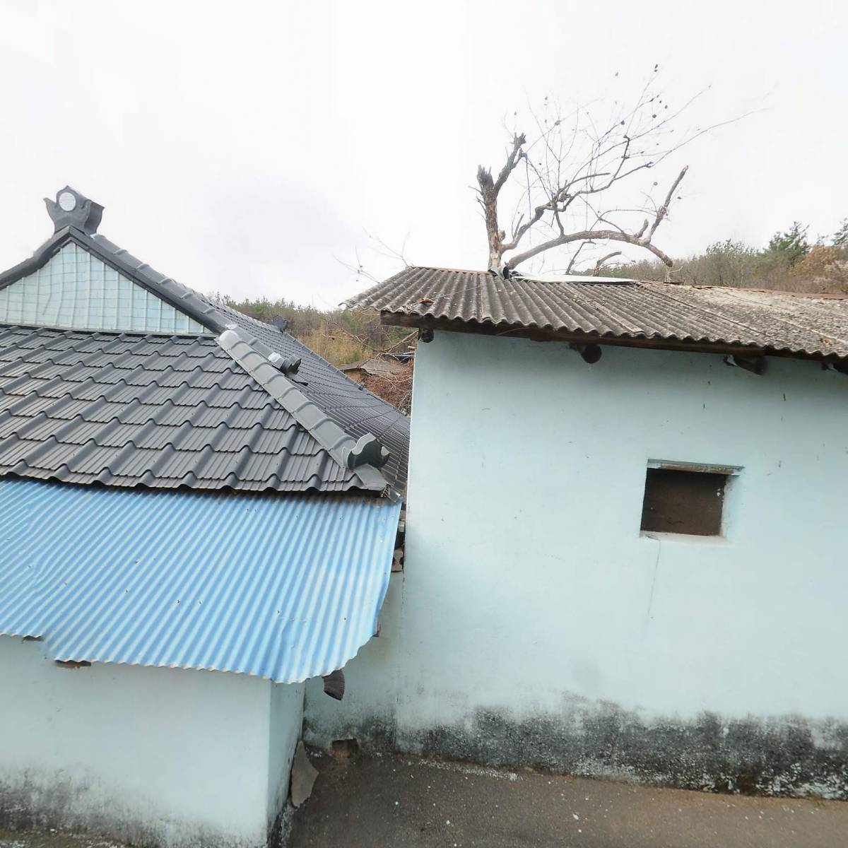 사단법인한국불교 미륵종 법영사_3