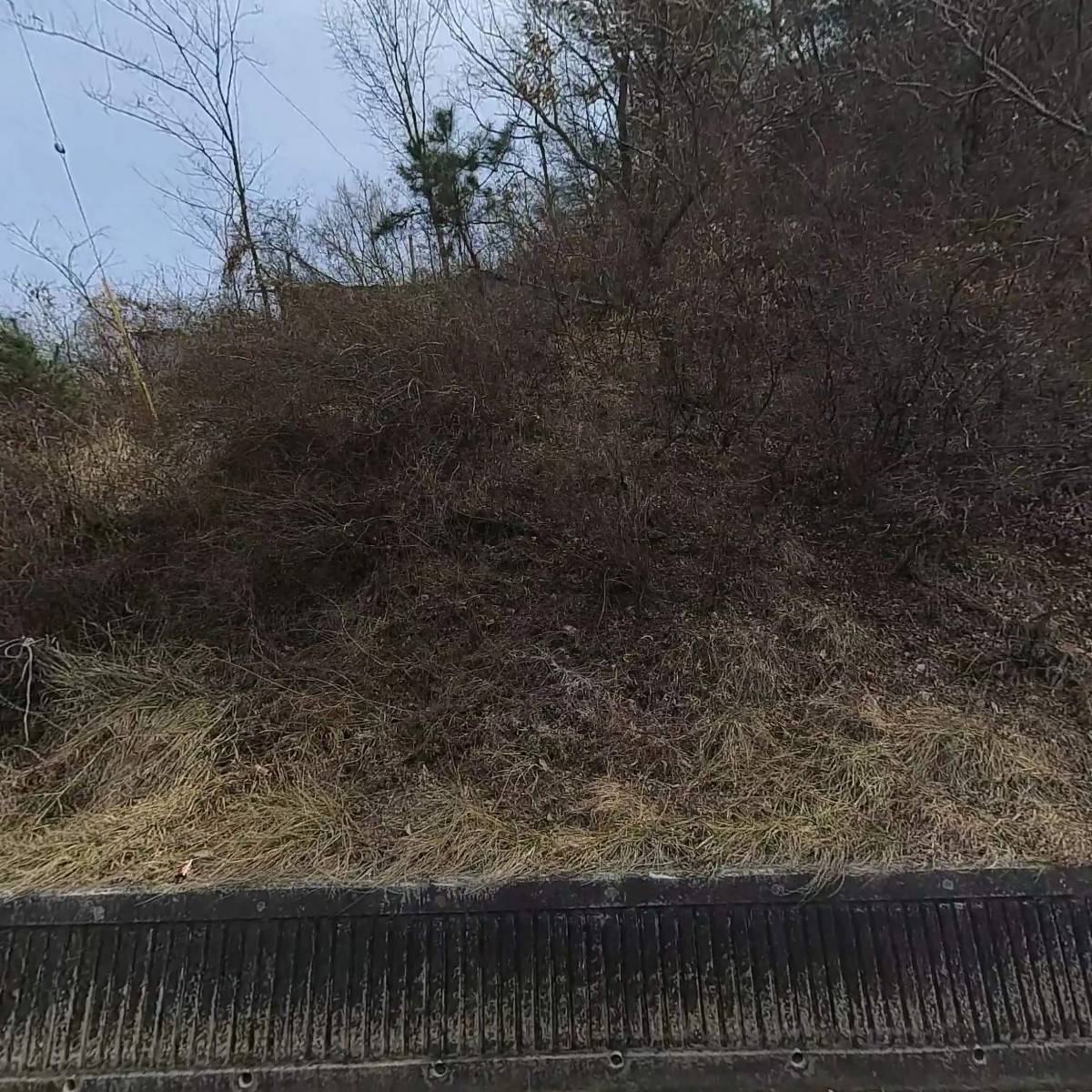주식회사 뉴엔스톰케인