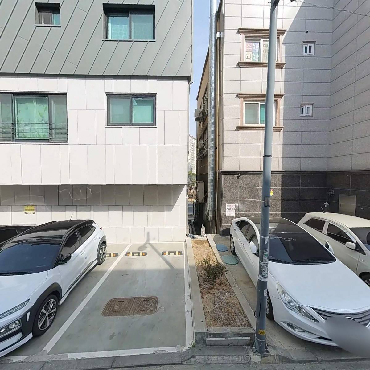 선재반죽