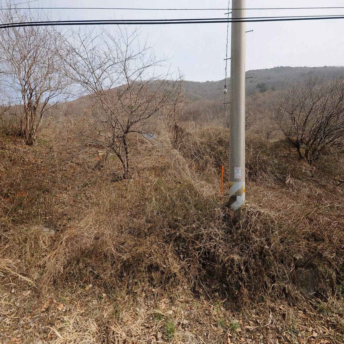 지리산 토종벌 바우농장_3