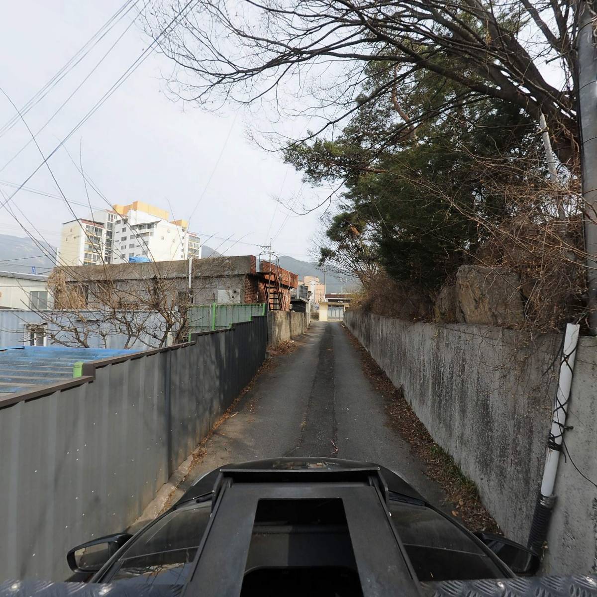 창녕고등학교 총동문회_4