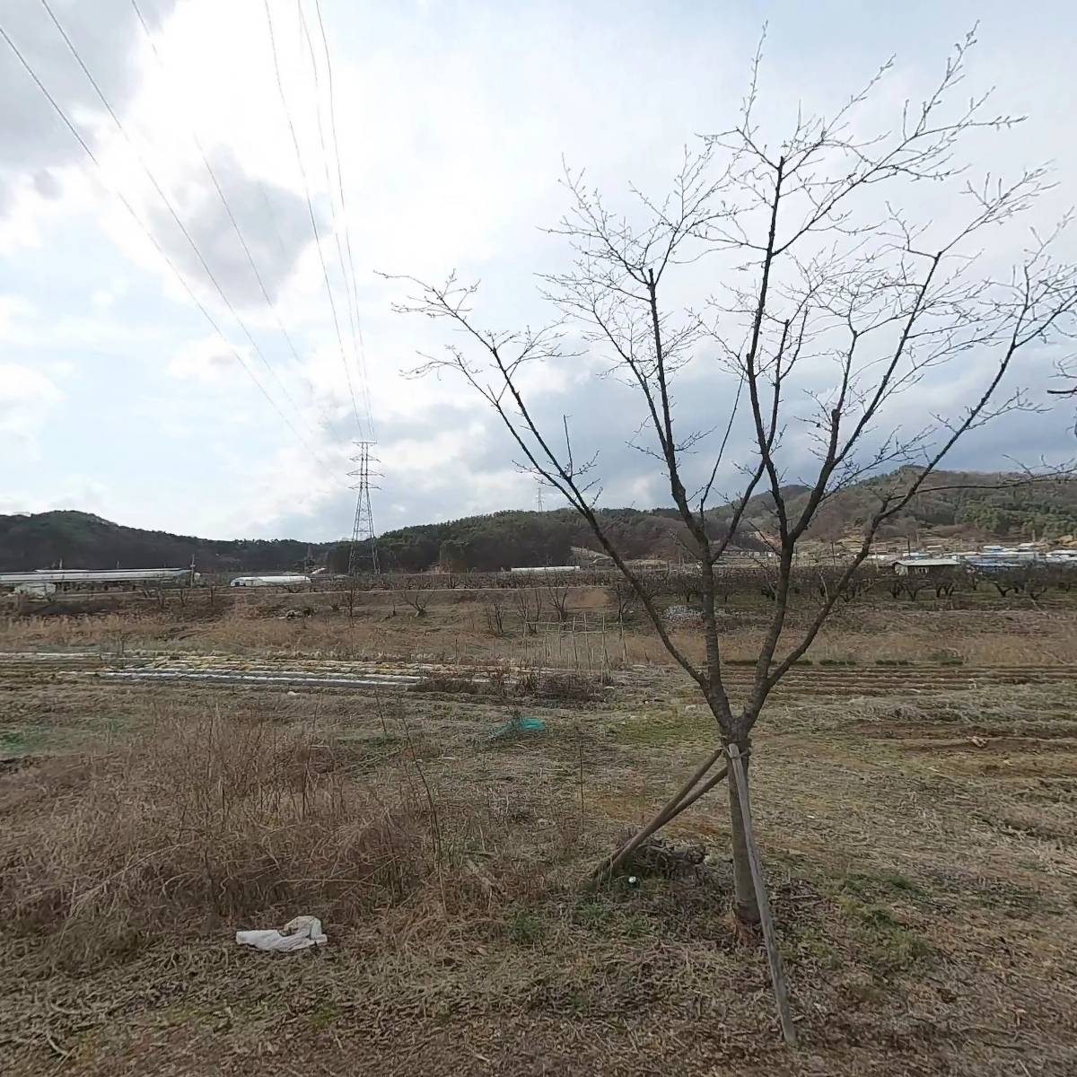 (주)코머드