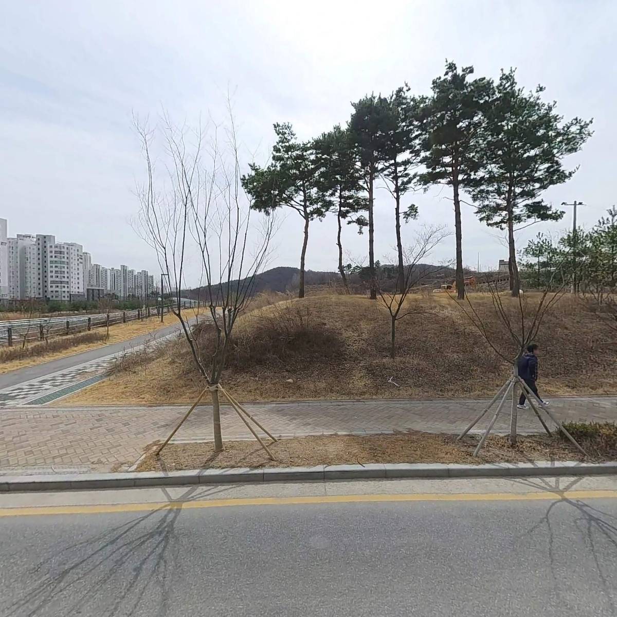 이태리식당수