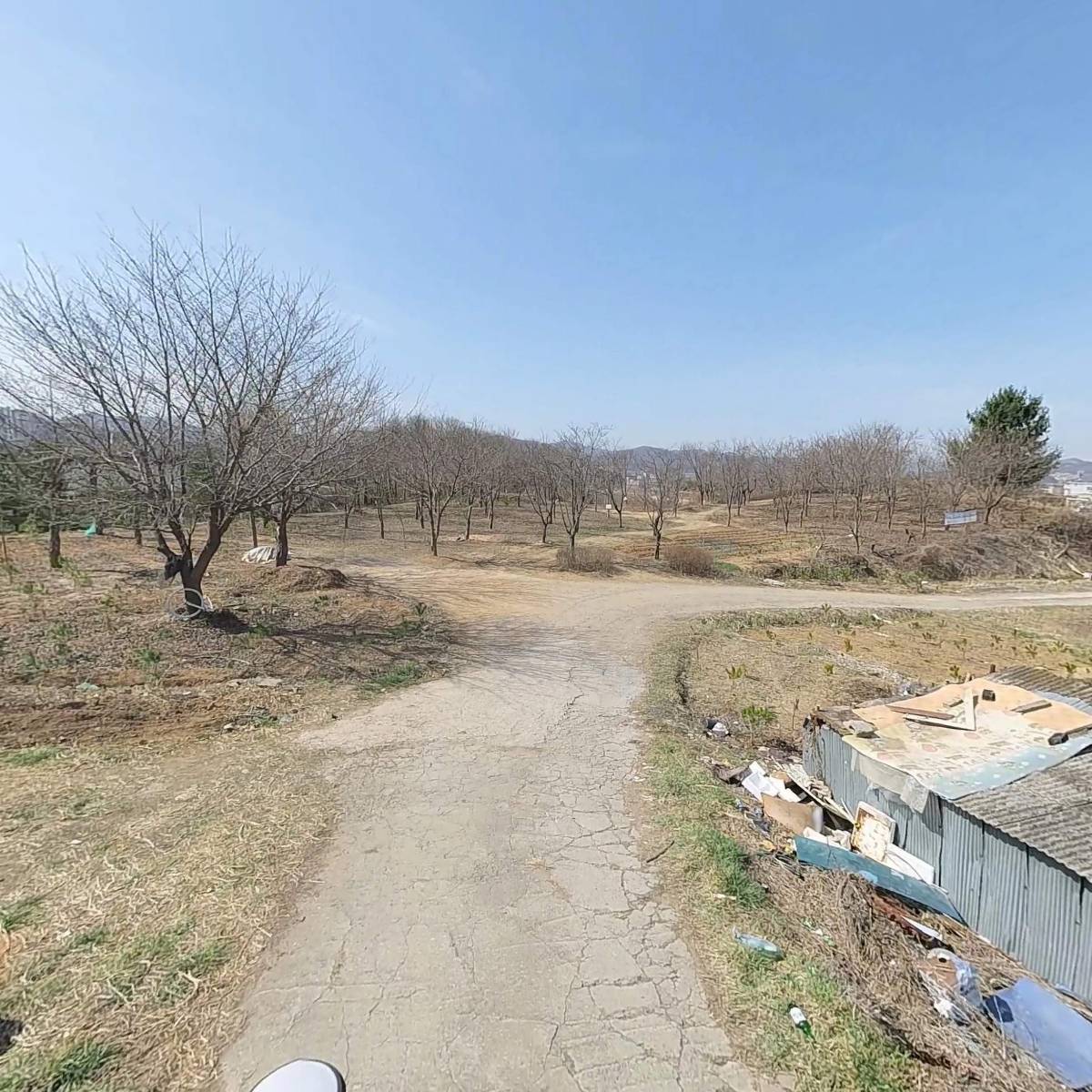 충주시택견협회_2