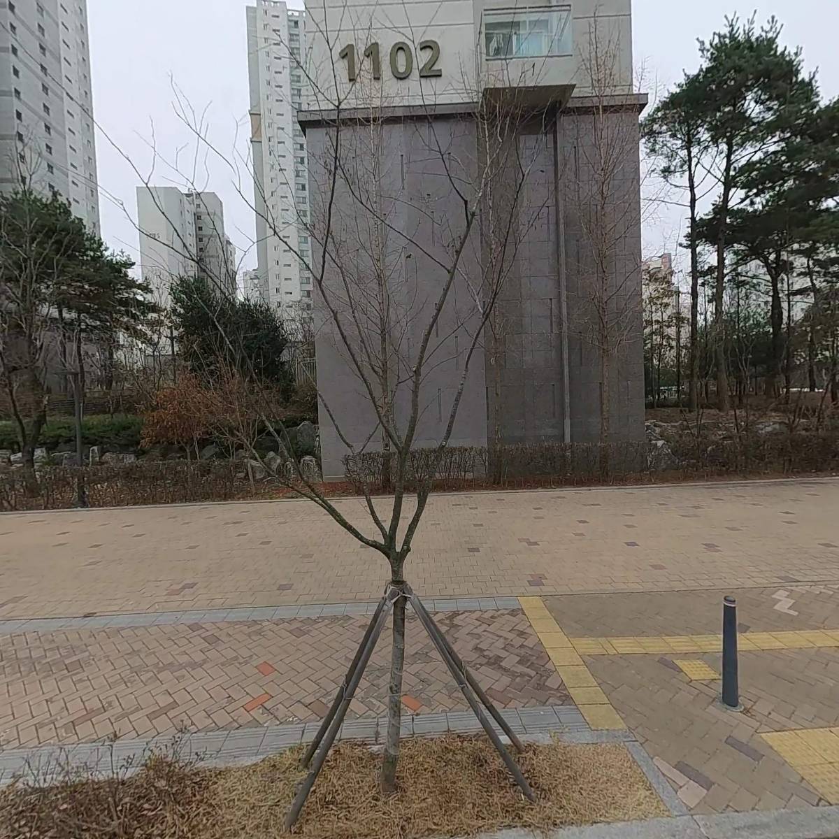 메디브릿지