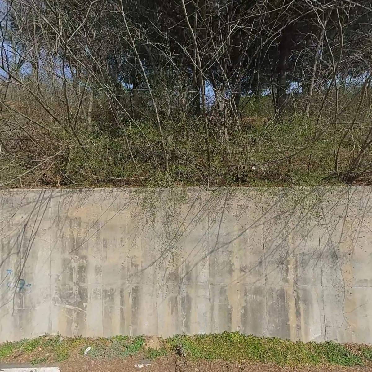 롯데택배 세종대리점