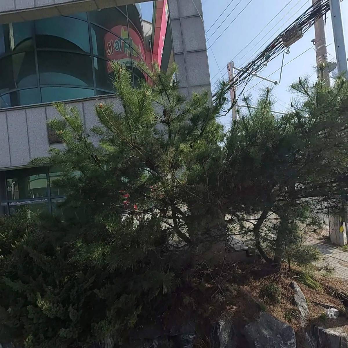 사계절청과