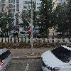 꽃주리화원