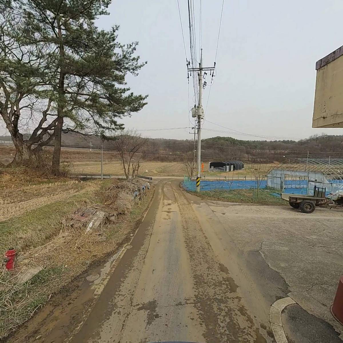농업회사법인운주산삼랜드(주)_2