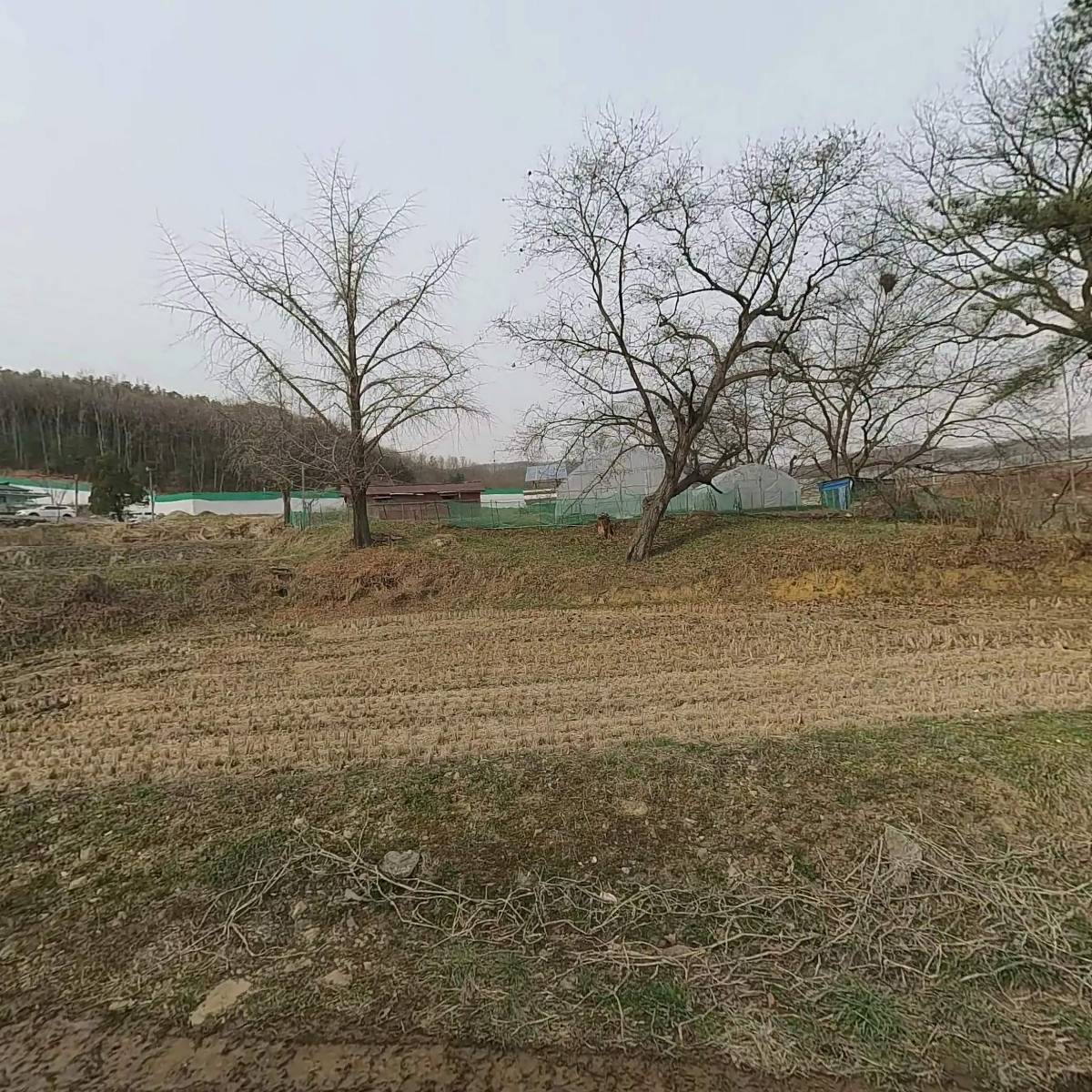농업회사법인운주산삼랜드(주)