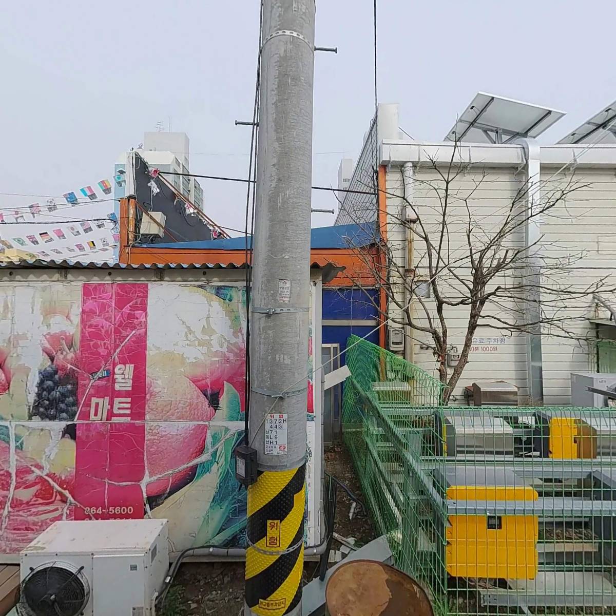 회뜨는집