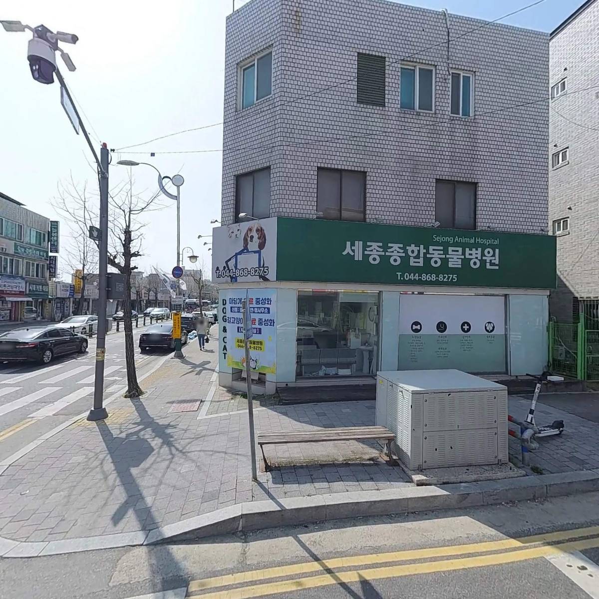 세종종합동물병원