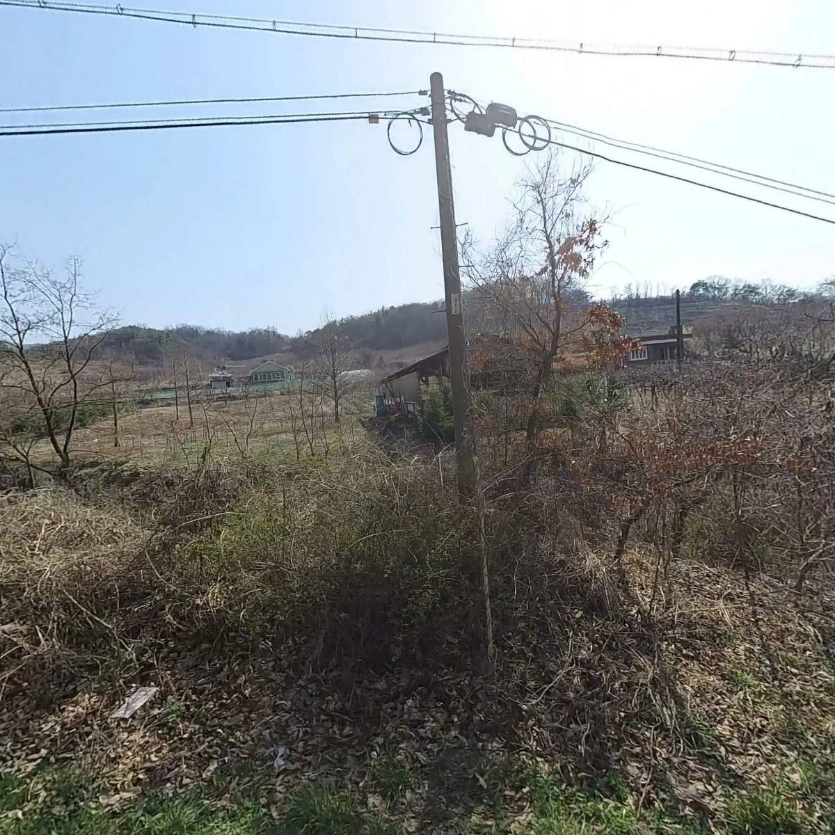 농업회사법인 주식회사 심천