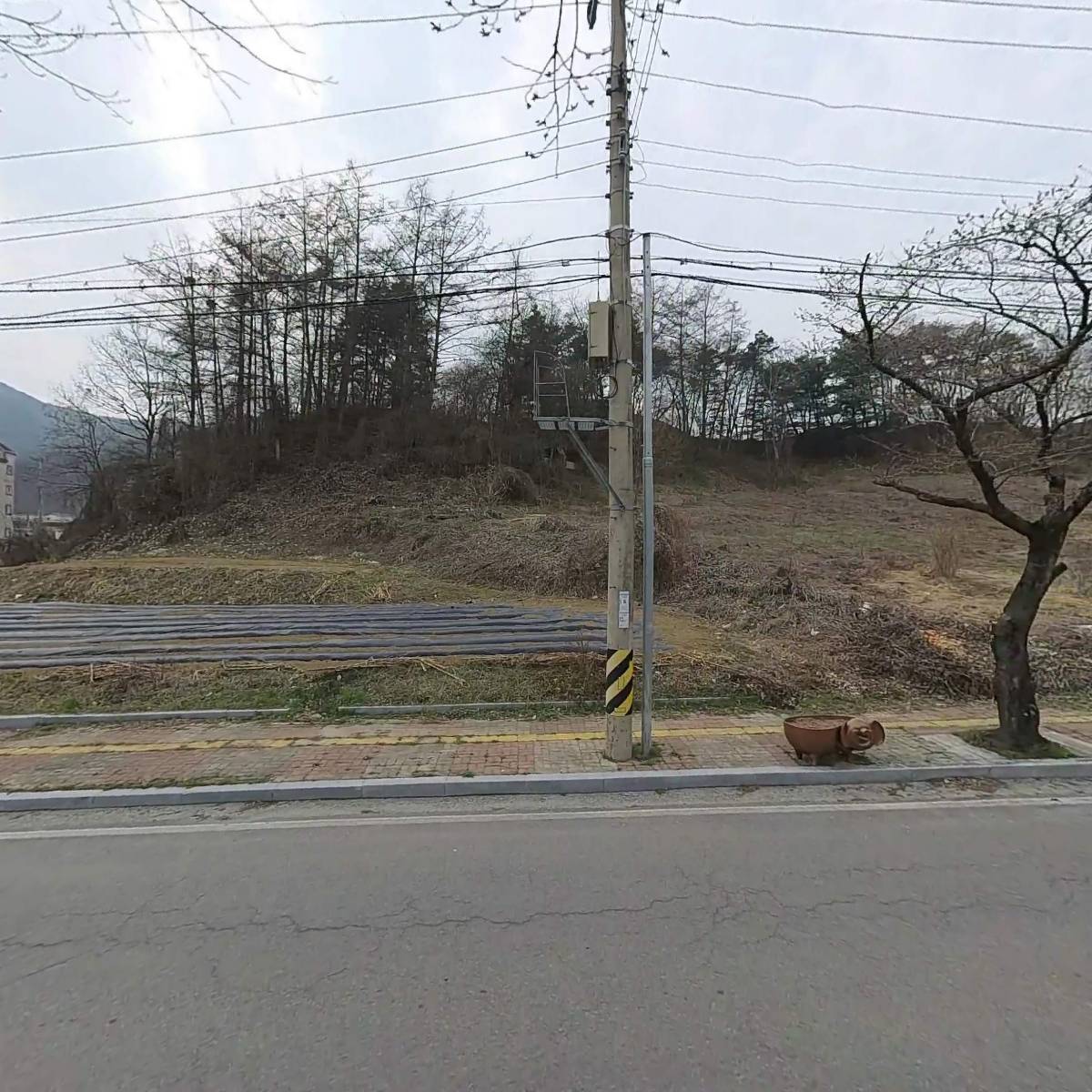 도원디앤씨 농업회사법인 유한회사_3